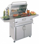 STAINLESS STEEL BARBEQUE CHARCOAL